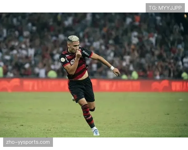 巴甲数据分析：弗拉门戈进攻火力与防守稳固性均列联赛前茅